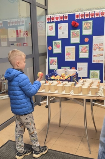 Zdjęcie WhatsApp 2025-09-26 o 12.24.16_d91146a3